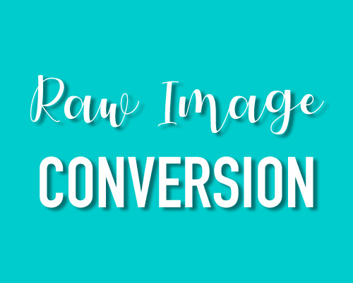 raw image conversion and retouching, worthing